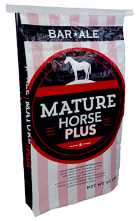 Mature Horse Plus