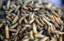 Super Grubs - Dried Black Soldier Fly Larvae (20oz) 6/cs